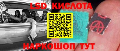 прущие грибы Среднеуральск