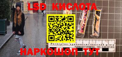 прущие грибы Среднеуральск