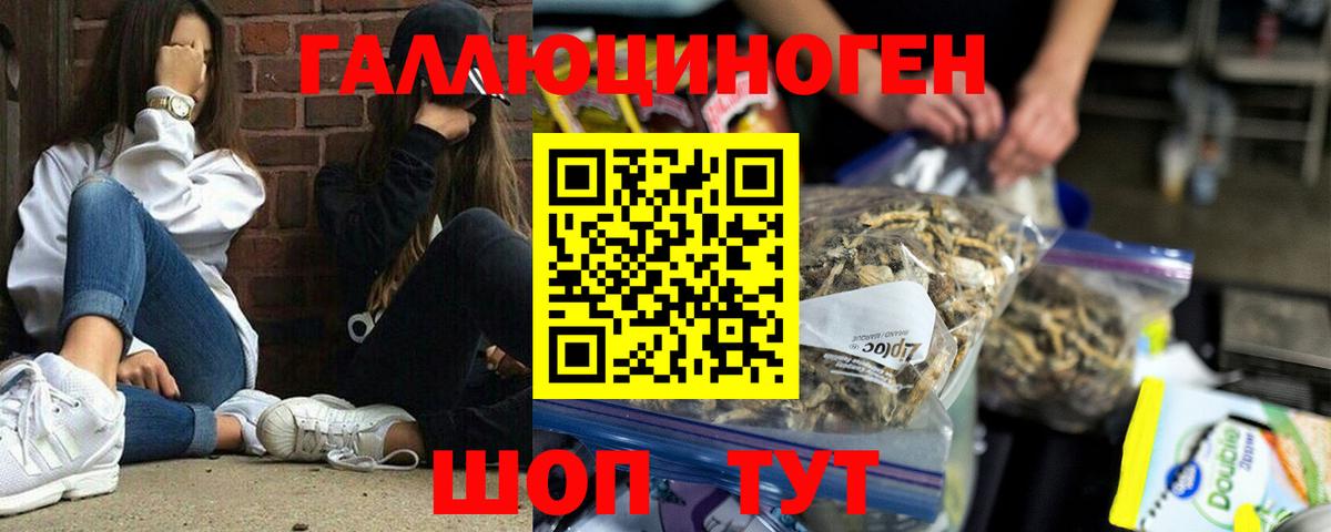Псилоцибиновые грибы GOLDEN TEACHER Рыбинск